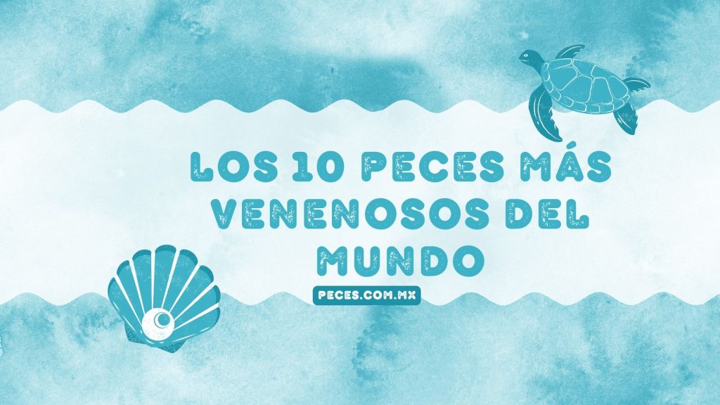 Los 10 peces más venenosos del mundo