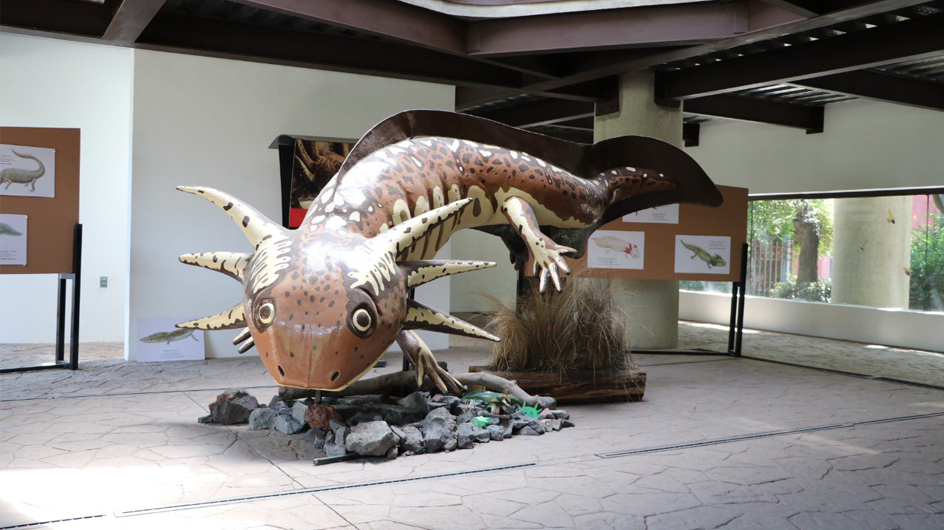 Todo lo que necesitas conocer sobre el Museo del Ajolote en el Zoológico de Chapultepec.