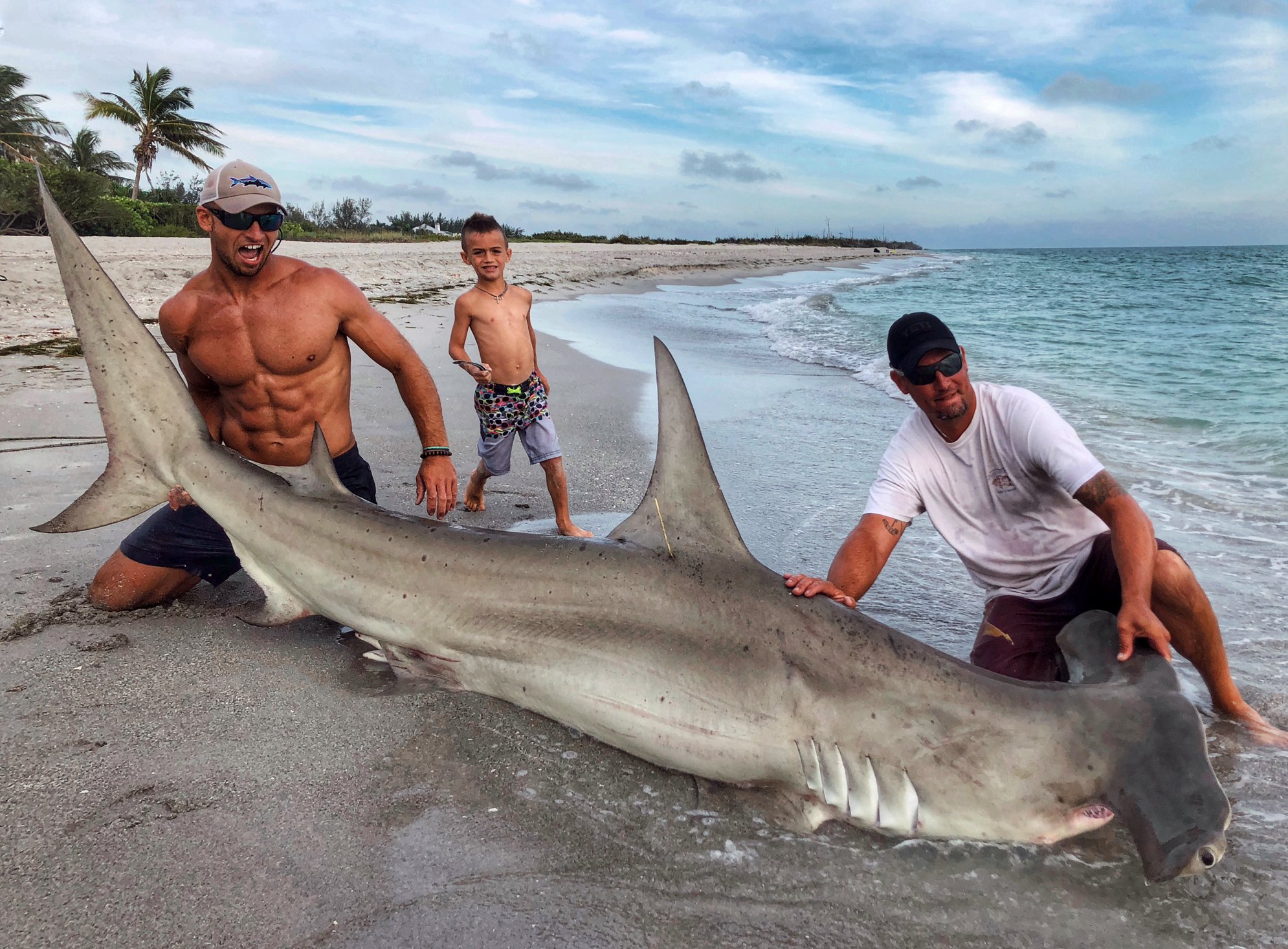 Asómbrate con el Tiburón Martillo