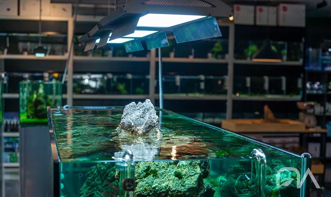 Beneficios de tener iluminación en tu acuario