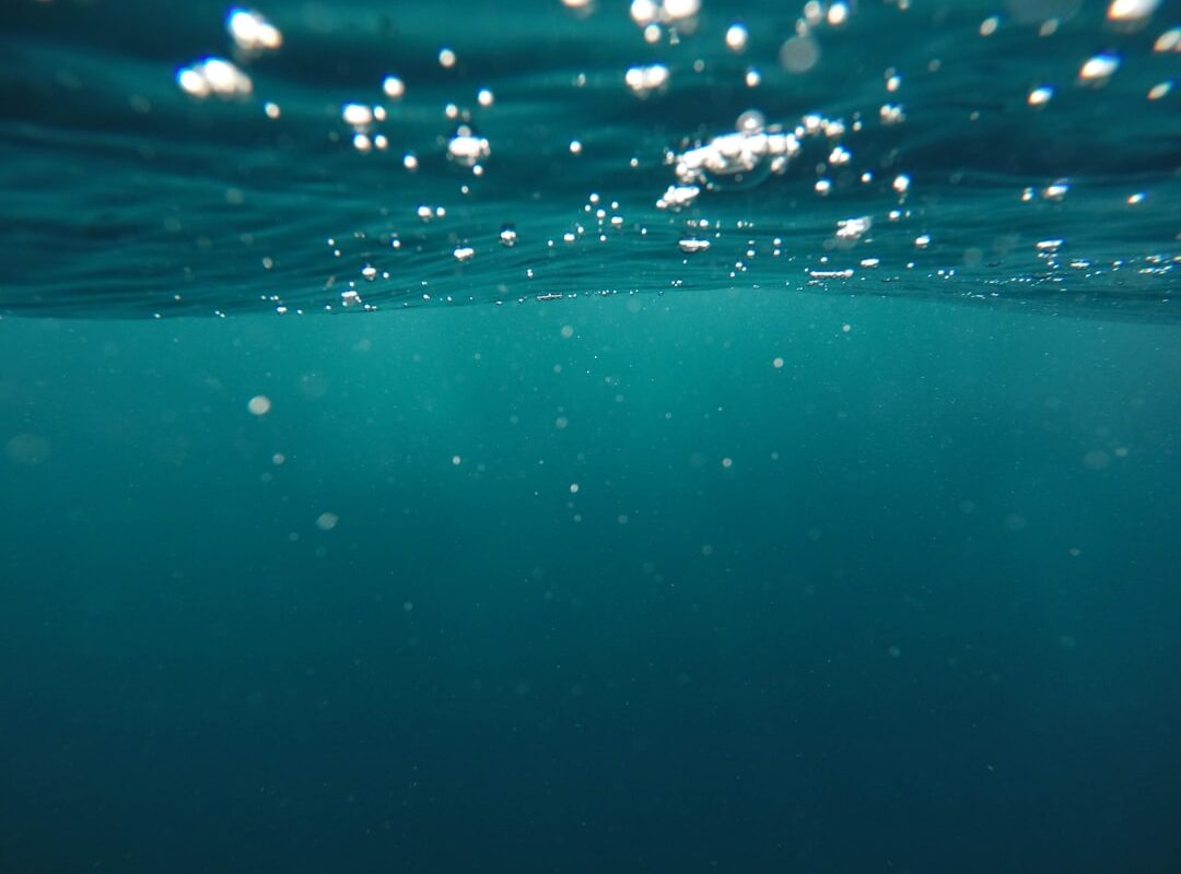 Photo Underwater habitat