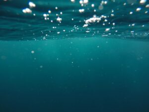 Photo Underwater habitat