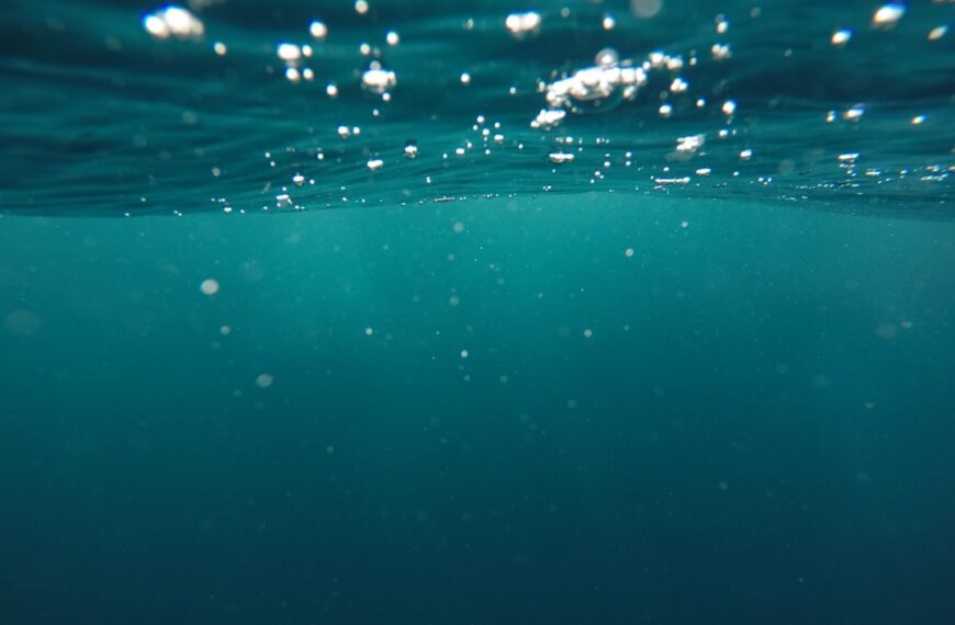 Photo Underwater habitat