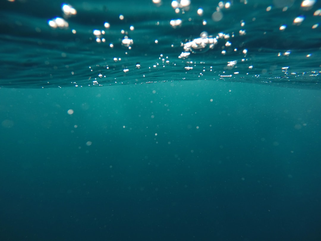 Photo Underwater habitat