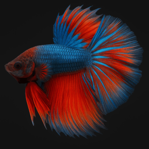 chatgpt image sep 11, 2025, 05 48 25 pm