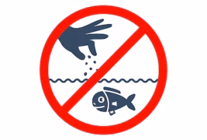 alimentos prohibidos 