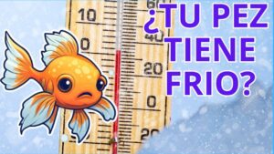 pez frio