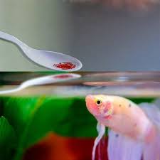 suplementos betta