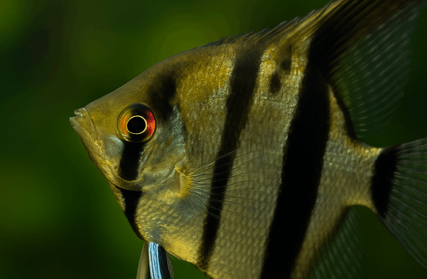 chatgpt image oct 15, 2025, 06 45 40 pm