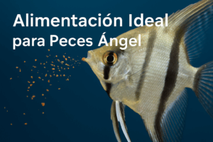 chatgpt image oct 16, 2025, 05 40 53 pm