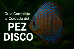 chatgpt image oct 17, 2025, 04 20 53 pm