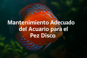 chatgpt image oct 17, 2025, 05 00 28 pm