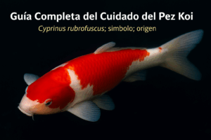 chatgpt image oct 21, 2025, 05 19 24 pm