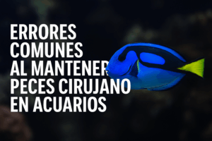 chatgpt image oct 22, 2025, 09 29 07 am