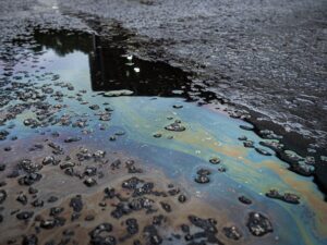 sustancia química mata peces