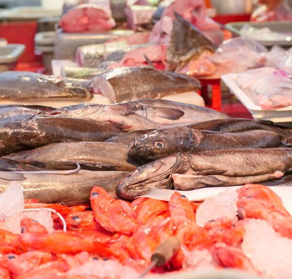 El próspero mercado de pescado de George Sarris