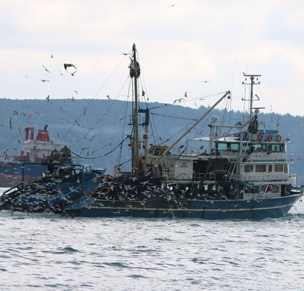 african fishermen blame chinese trawlers