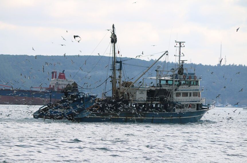 african fishermen blame chinese trawlers