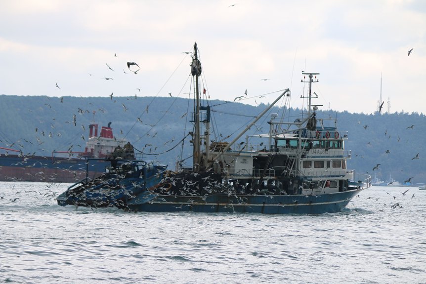 african fishermen blame chinese trawlers