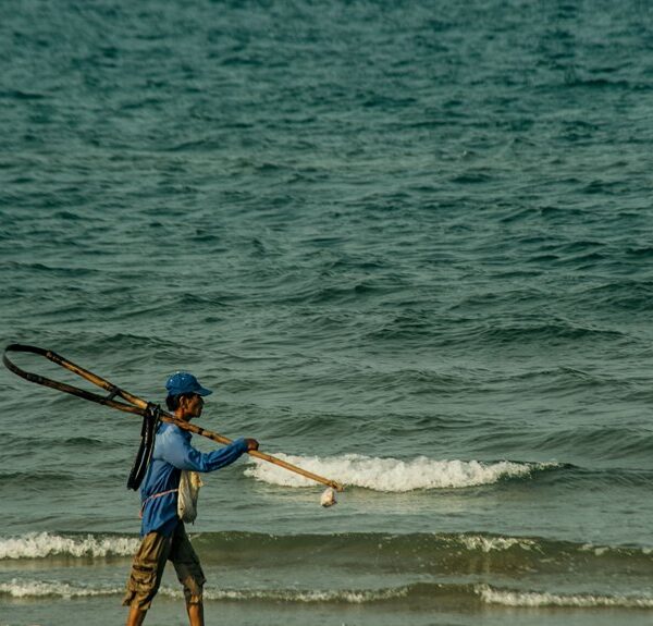 tiburón capturado en la playa