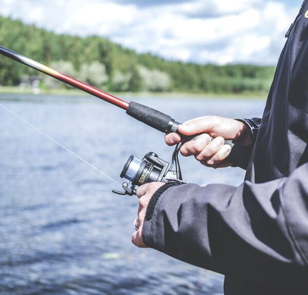 Pesca y caza de cerdos